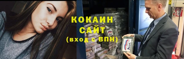 индика Снежинск