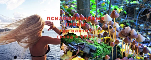 МДПВ Абдулино