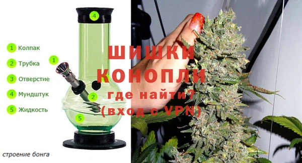 индика Снежинск