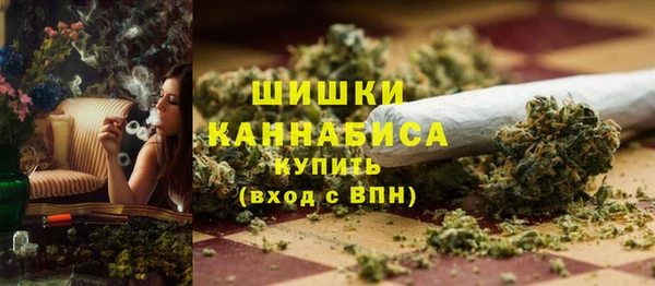 прущие грибы Абинск