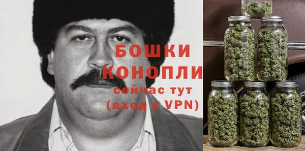 прущие грибы Абинск
