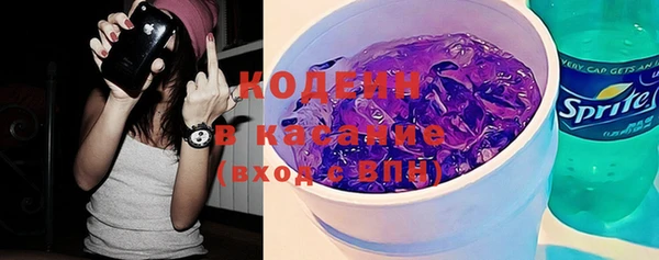 прущие грибы Абинск