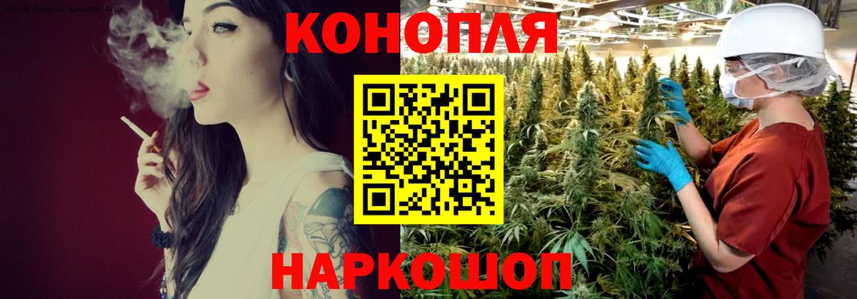 Шишки марихуана планчик  Каннабис Ganja  Канабис тримм  Канабис White Widow  Донской  Вход с VPN 