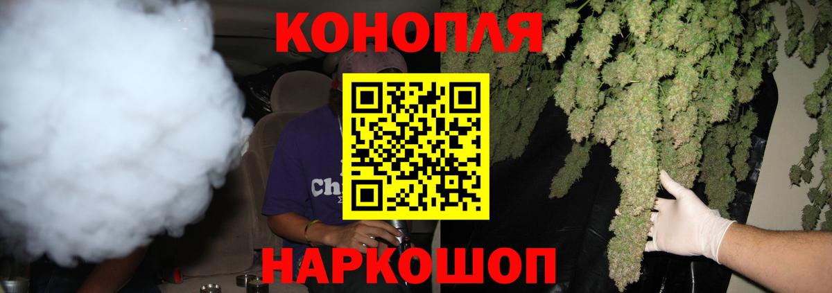 Бошки Шишки план Донской